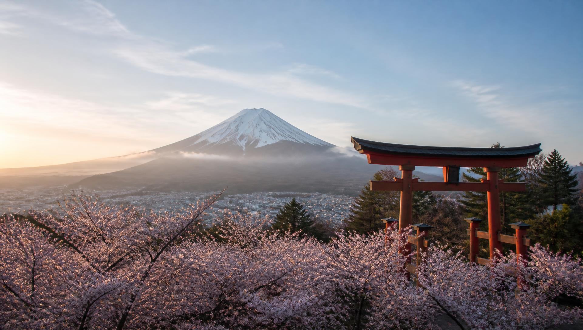 Mount Fuji and cherry blossoms in Japan